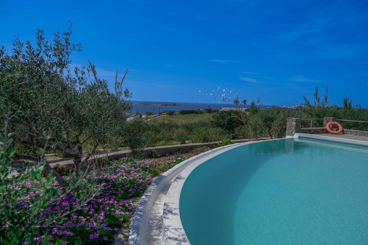 Anthemion Paros - Villas & Suites Ajía Iríni Páru Kültér fotó