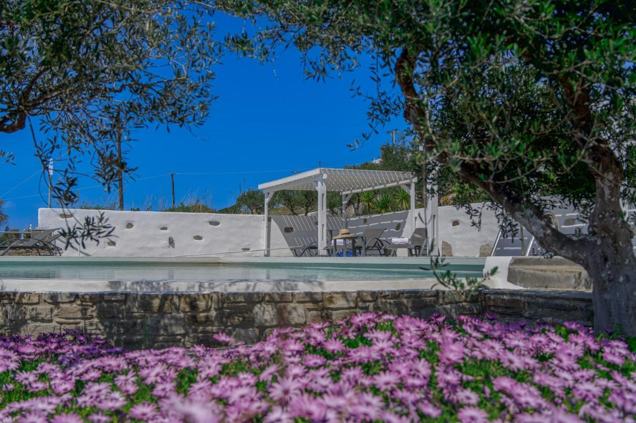 Anthemion Paros - Villas & Suites Ajía Iríni Páru Kültér fotó